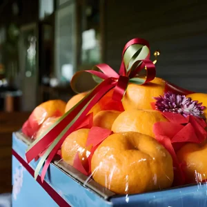 Alternative view of Oranges