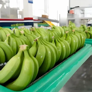 Alternative view of Bananas