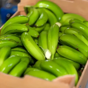 Bananas