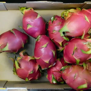 Dragon Fruit