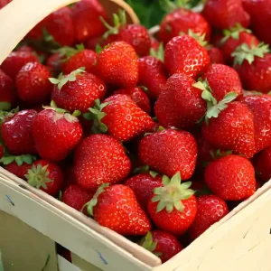 Alternative view of Strawberries
